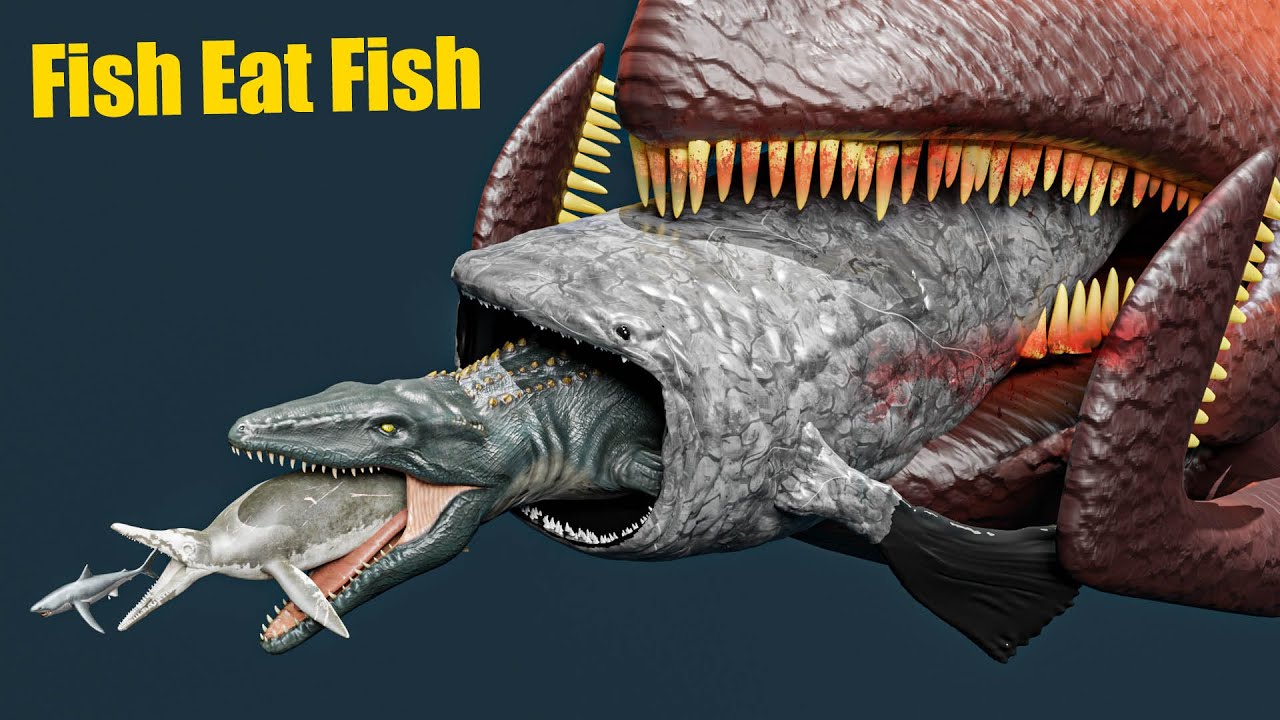 Deep Sea Creatures